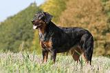 BEAUCERON 548